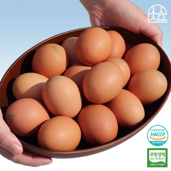 초란 무항생제 유정란 난각번호 2번 평사사육 초란 30구