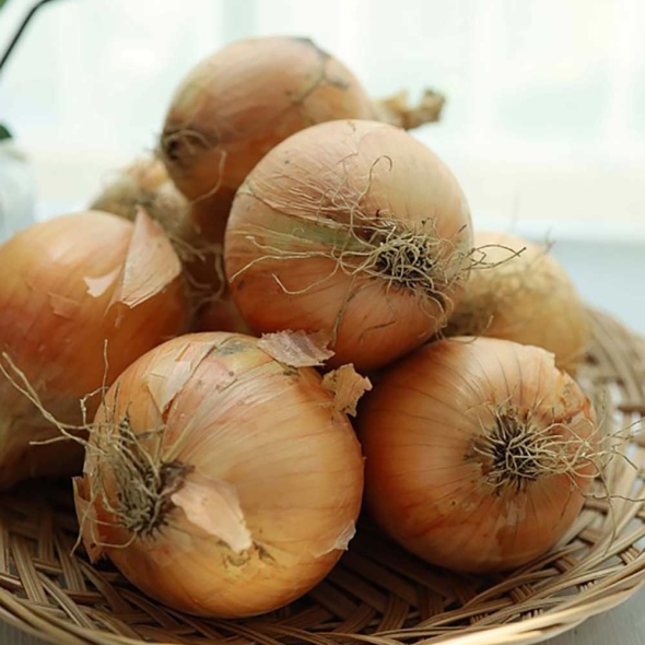 [만원의 행복] 아삭아삭  달큰한  양파  (2kg/3kg/5kg/10kg)