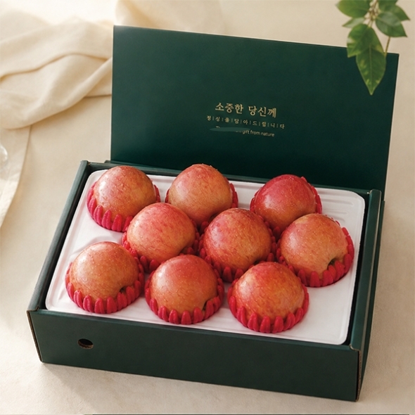 [오커최고] 홍로 사과 2.5kg 5kg 선물세트