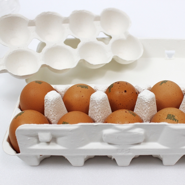 (난각번호 1번) 자연방사 방목 유정란 계란 달걀 30구 (52g이상 특란 무선별 배송) 계란