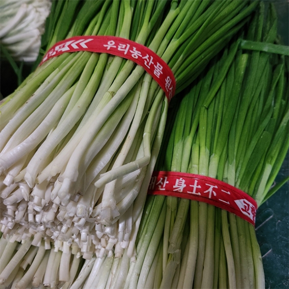 익을수록 더 맛있는 파김치(푸)