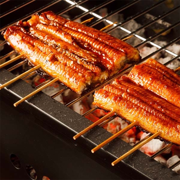 고창 풍천 장어 국내산