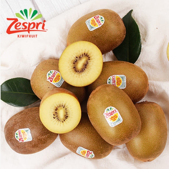 [제스프리] 골드 키위_점보/자이언트점보 [1.6kg-4.5kg]