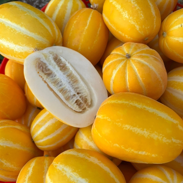 고당도 성주 꿀참외(푸)