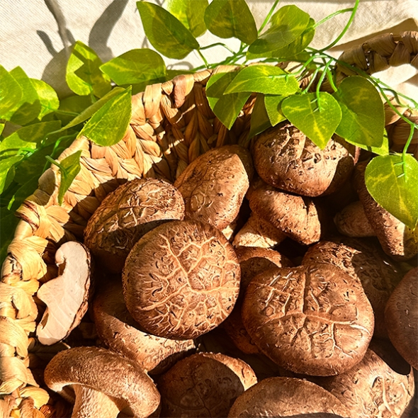 [명절캄스] 표고 버섯 선물세트 2kg 4kg