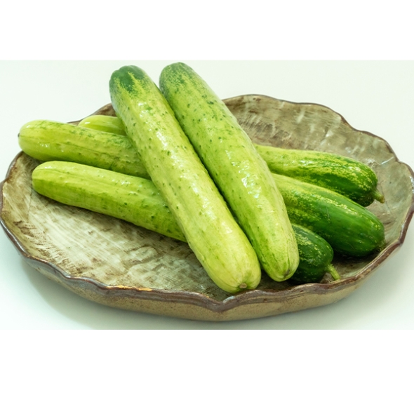 (최켓) 백오이 1kg~5kg