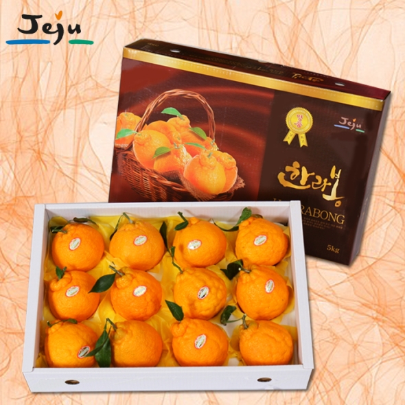 [푸토리] 향긋한 마음의 선물 제주마을 한라봉세트 3kg / 5kg