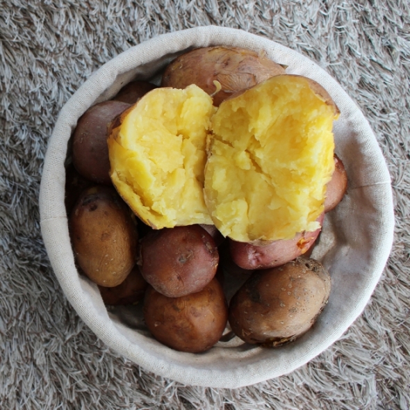 [오커브팜] 카스테라 홍감자 빨간 감자 1.5kg 3kg 5kg