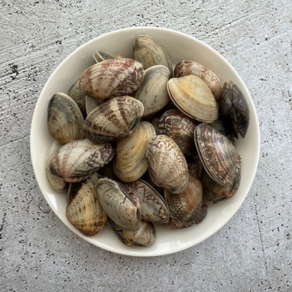 [신한카드 할인]국내산 당일조업 신선한 자연산 활바지락 800g 바지락살 200g 추천