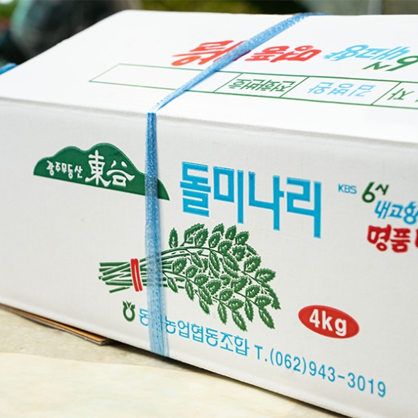 [보름데이] 동곡  돌미나리(푸)