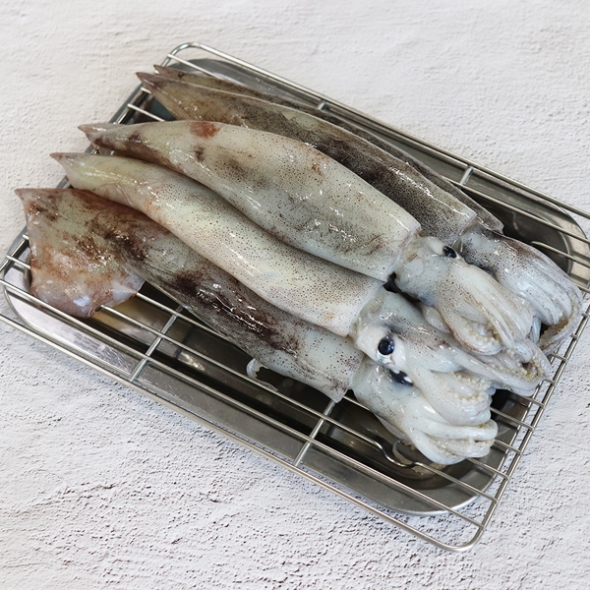 [총알오징어] 원양산 통찜용 오징어 1kg [7~13마리][냉동]