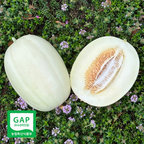 부드러운 과육 고당도 설향메론(푸)