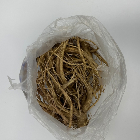 (최켓)도라지