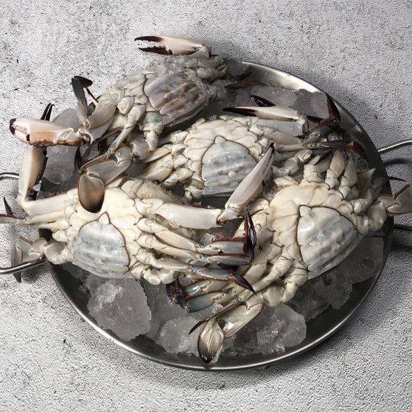  [오커늘푸] 활꽃게 암꽃게 생물 꽃게 1~3kg