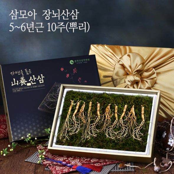[삼모아] 산양산삼 5-6년근 5/7/10뿌리(보은세트) /우드락+패키지케이스+공단보자기