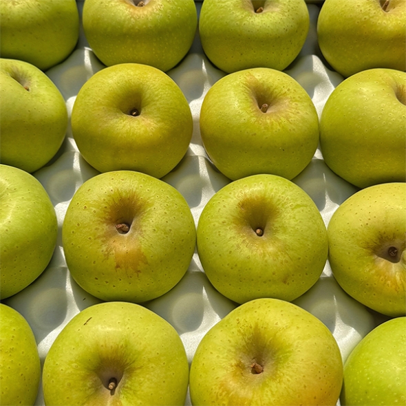 [만원의 행복] 고당도  특품 시나노골드(푸)