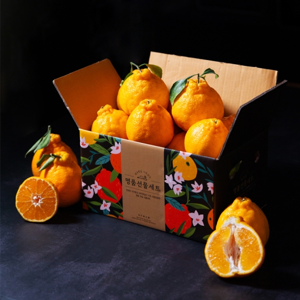 당도선별 한라봉 2kg/2.5kg/4.5kg (사이즈 선택)