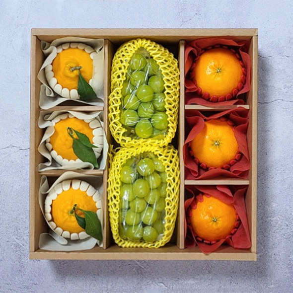  [선물세트] 과일 알찬  선물세트(마)