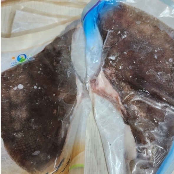 [만원의 행복] 홍지수산 국내산 삭히지않은 싱싱 생가오리  가오리찜 실속형 날개만 300g 이상