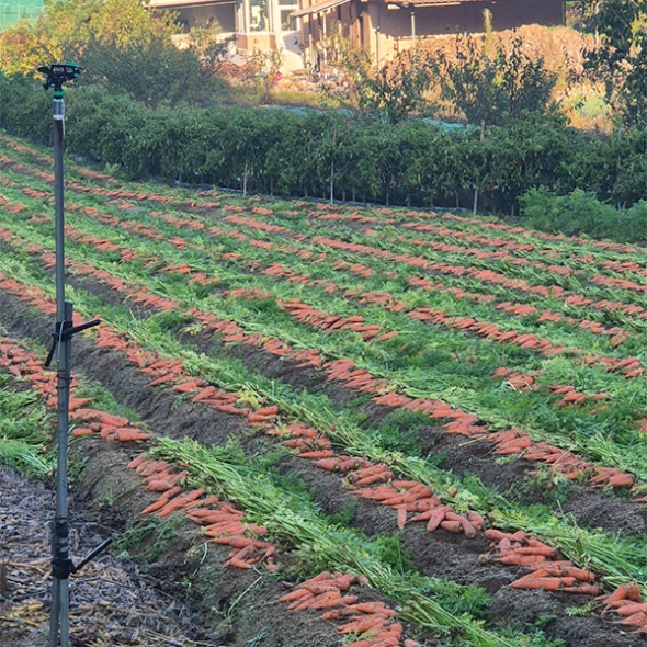 [신한카드 할인] 제주도 최상급 구좌당근(푸)