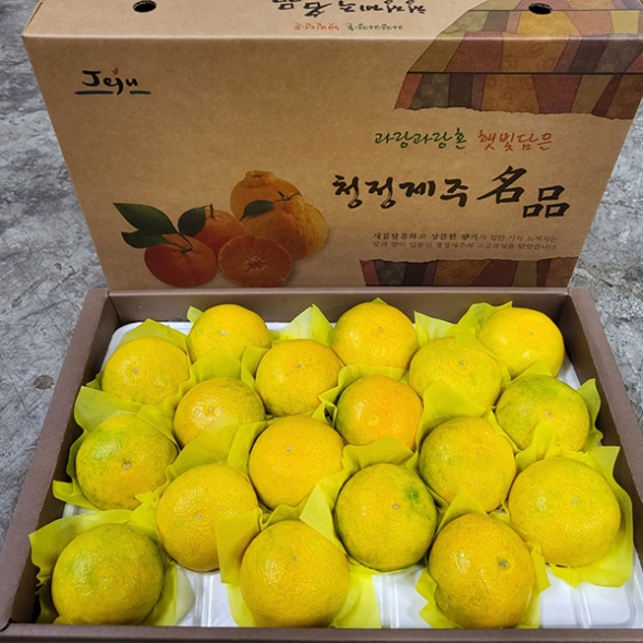 [명절캄스] 제주 황금향 선물세트 2kg 3kg 5kg 선물가방 포함