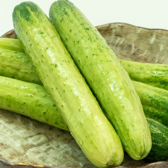 [만원의 행복] 오이최고 촉촉 백오이 아삭 하얀오이 1kg 2kg 3kg 5kg 백다다기