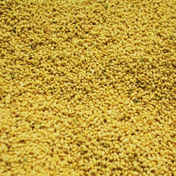 [신한카드 할인] 친환경 국산콩 콩나물