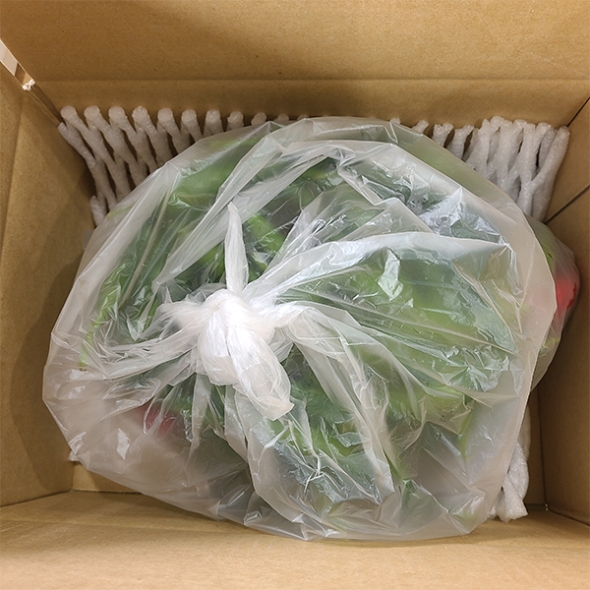 (최켓)청양고추 500g~5kg