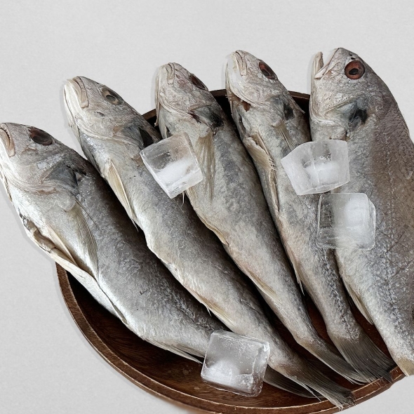 삼천포 용궁수산시장 반건조 생선 자반세트
