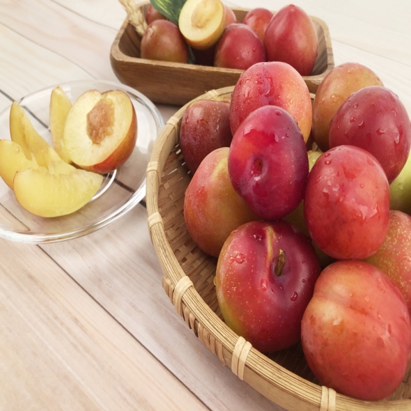 [산지직송] 새콤하고 달콤한 국내산 하우스 자두(300g/500g/1kg/1.5kg)