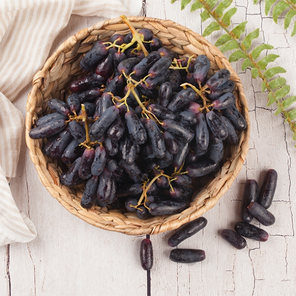 [주말특가] 고당도 블랙 사파이어 포도(푸)