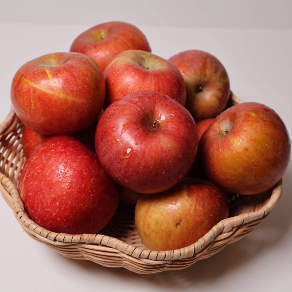 경북 안동 꿀사과 부사 (가정용) 소과,중소과,중과,중대과,대과