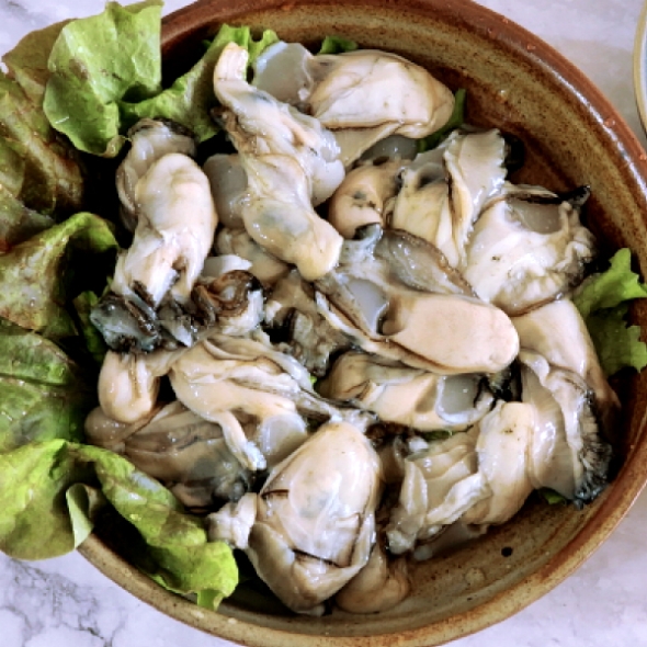 [미가원] 통영 햇 생굴 1kg/2kg/3kg내외