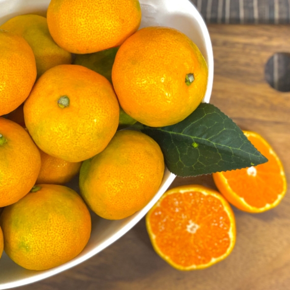 [뜰안애] 보석 노지감귤 5kg(2L/L사이즈 랜덤발송)