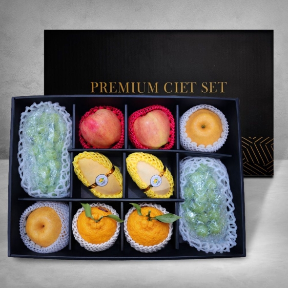 [베네팜] 과일혼합 12입 선물세트 (사과+배+한라봉+망고+샤인) 4.8kg/5.2kg