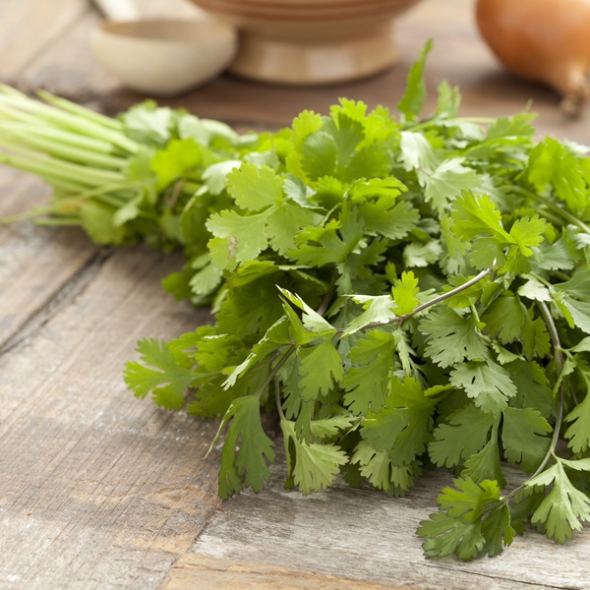 [하늘농장] 남도 세척 손질미나리 500g/1Kg/2Kg/4Kg (특품)