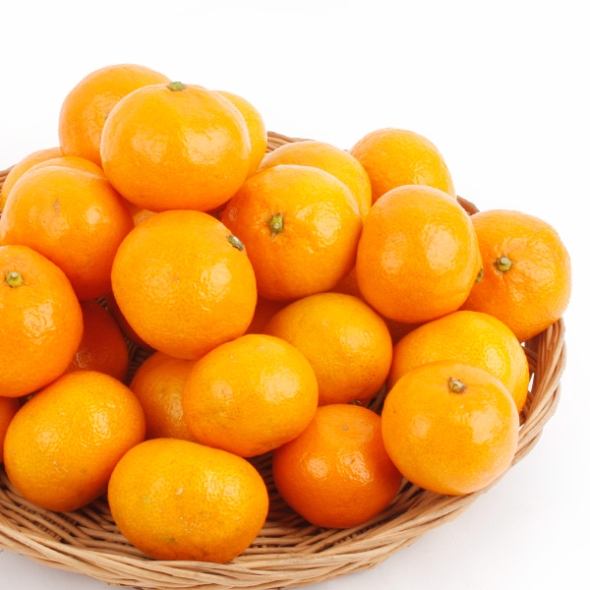 [농협공판장] 정성드린 제주 노지감귤 5kg(L-2L/37-46과내)