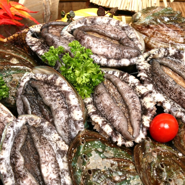 [완도바다참전복] 활 참전복 (중/대) 1kg(11-13미) / 1.5kg(16-19미) / 2kg(22-26미)