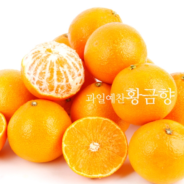 [제주향] 탐나는 황금향 3kg(10-12과내)/(13-15과내)