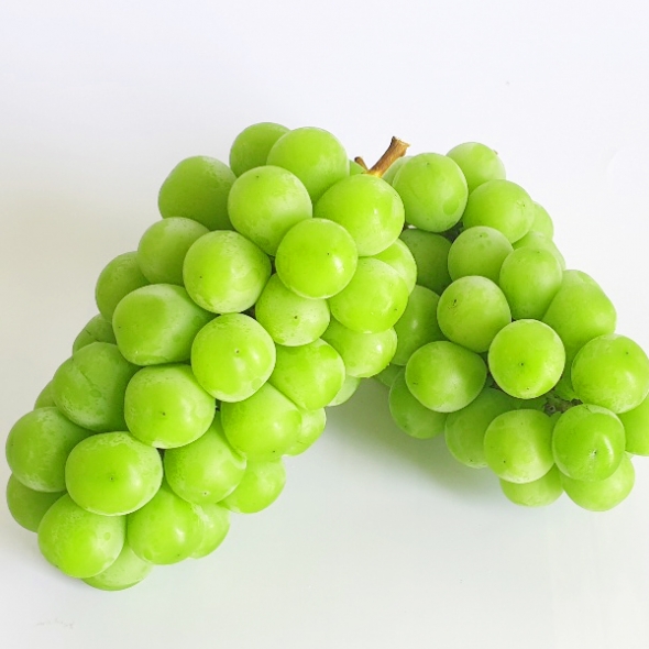 [에어캡포장]샤인머스켓2kg(3~4송이)