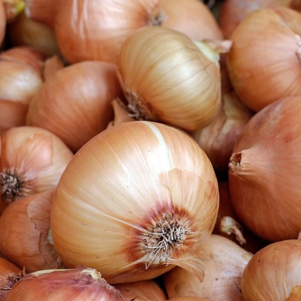 [만원의 행복] [품질보장]국내산  양파(특) _중량 옵션선택 