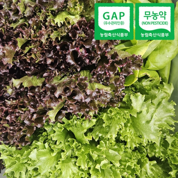 [자연속애] GAP 무농약 유러피안 샐러드 800g/1kg (3~6종/랜덤) 당일수확출고