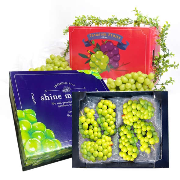 [명절특선] [농협] 한아름드린 샤인머스캣 선물세트 2kg/4kg(2품목)
