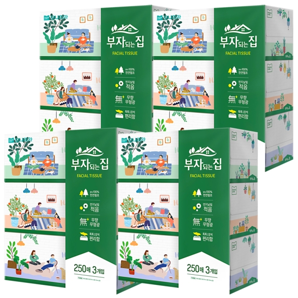 모나리자 부자되는집 FT 250매*3입 4팩