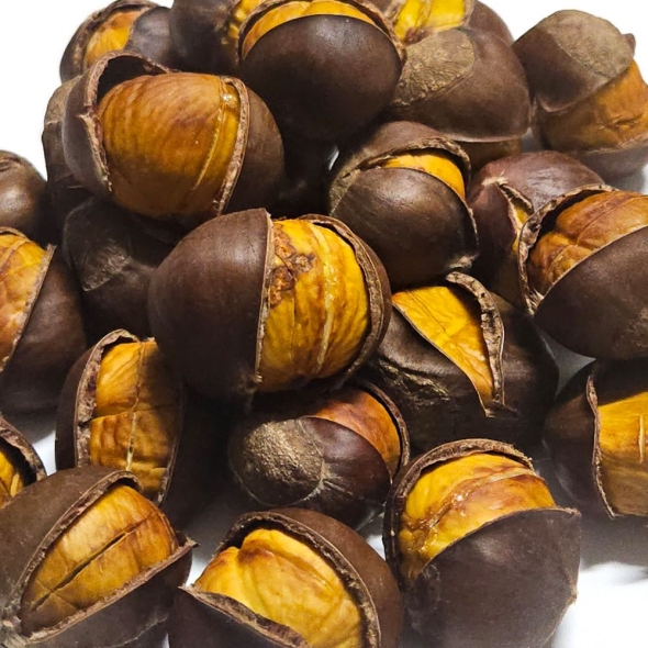 [자연농장] 수입산 약단밤/생율밤 1kg (칼집)