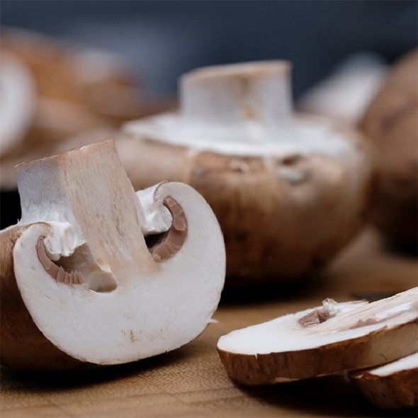 [하늘농장] 남도 생표고버섯 500g/1Kg (특품)