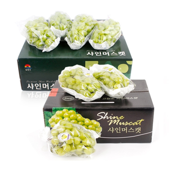 [명절특선] [과일예찬] 김천 샤인머스캣세트 3종 1.5kg(2~3수) / 2kg(2-3수) / 4kg(4-5수)