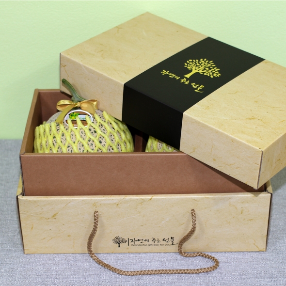 [선물세트]정다운 머스크 메론세트 2입(4kg이상)