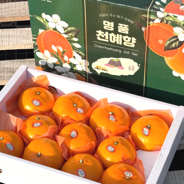 고당도 제주 천혜향 가정용