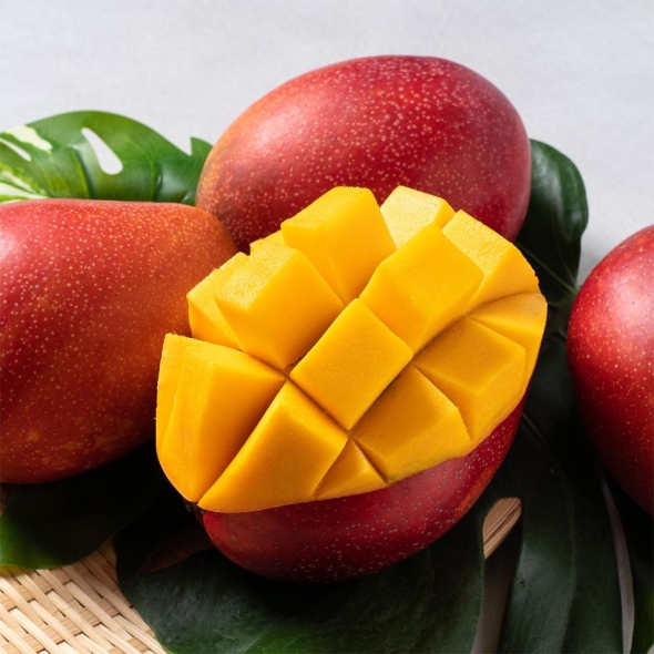 [베네팜] 페루 애플망고 2kg/4kg